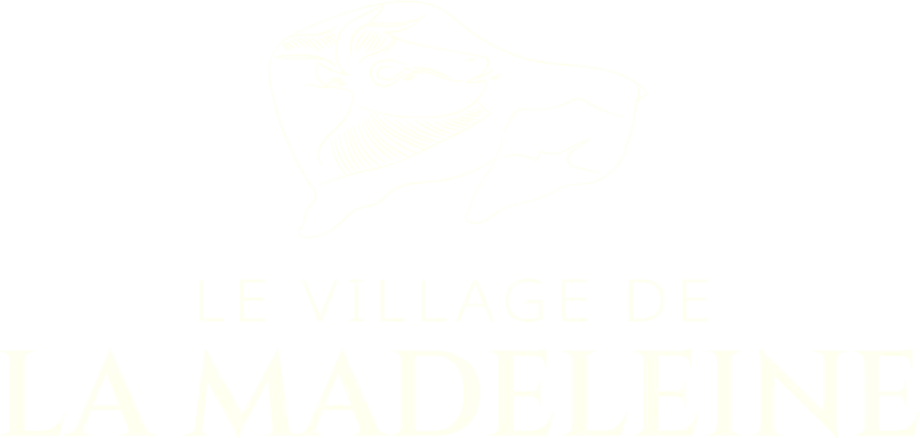 Village_de_la_Madeleine_Logo_bison_madeleine_clair_epais-1024x488